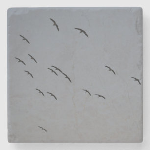Evening Flight Stone Coaster