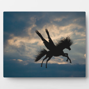 Evening Flight v.1 Plaque