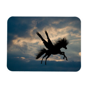 Evening Flight v.1 Vinyl Magnet