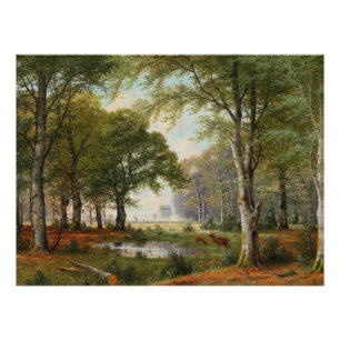 Evening Forest Landscape  Poster
