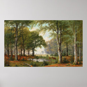 Evening Forest Landscape Poster