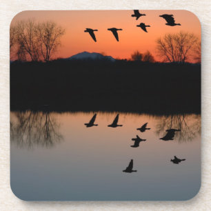 Evening Geese Coaster