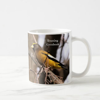 Evening Grosbeak Coffee Mug by BirdingCollectibles