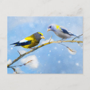 Evening Grosbeak Painting - Cute Original Dog Art Postcard