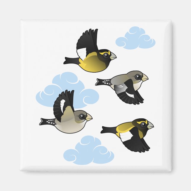 Evening Grosbeaks in Flight Magnet (Front)