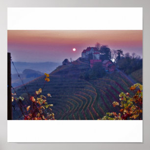 Evening in the Black Forest Poster
