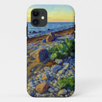 Evening light on the coast of Vormsi iPhone 11 Case