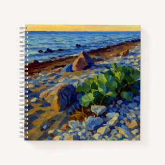 Evening light on the coast of Vormsi Notebook