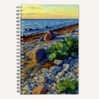 Evening light on the coast of Vormsi Notebook