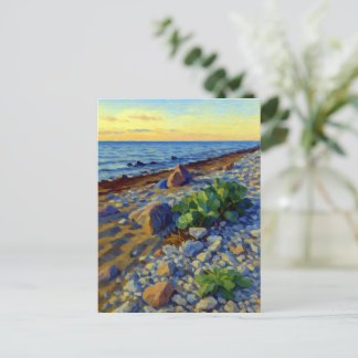 Evening light on the coast of Vormsi Postcard