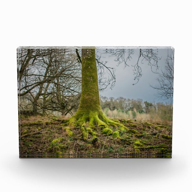 Evening Mood Photo Block (Front)