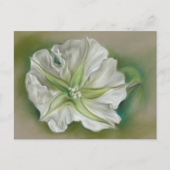 Evening Moonflower Pastel Art Postcard (Front)