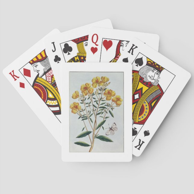 Evening Primrose, plate 73 from 'Collection Precie Playing Cards (Back)