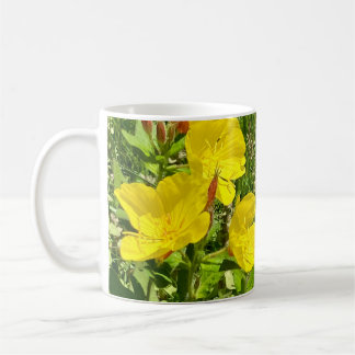 Evening Primrose, swallowtail butterfly mug ©️dh26