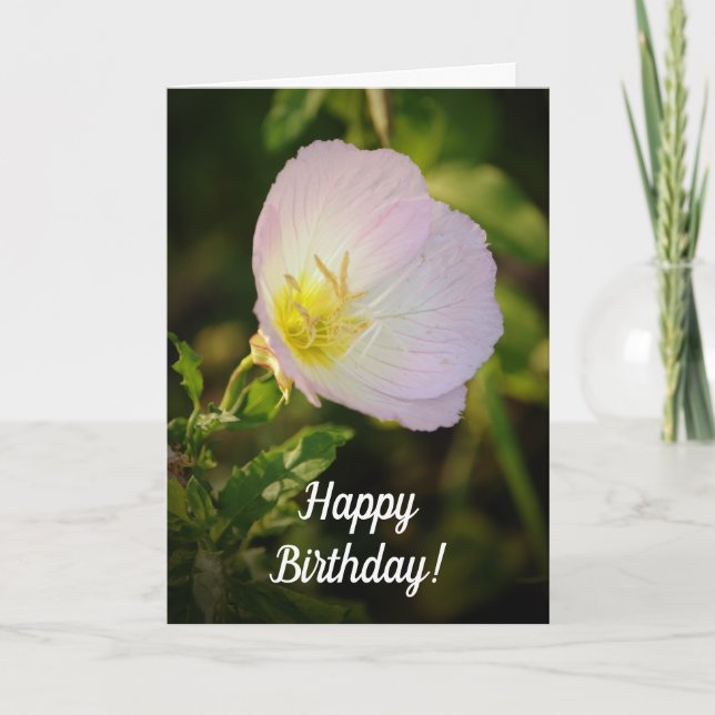 Evening Primrose Wildflower Birthday Card (Front)