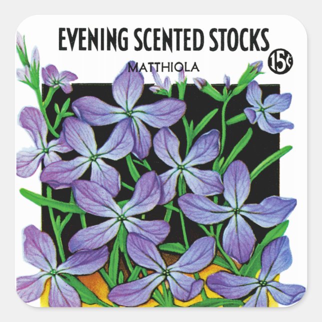 Evening Scented Stocks Seed Packet Label (Front)