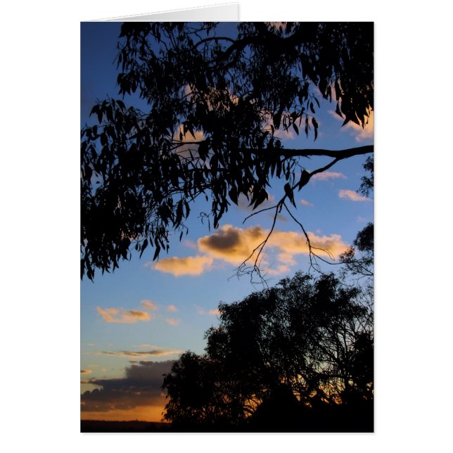 Evening Skies Silhouette Card (Front)