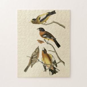 Evening, Spotted Grosbeak Audubon Birds of America Jigsaw Puzzle