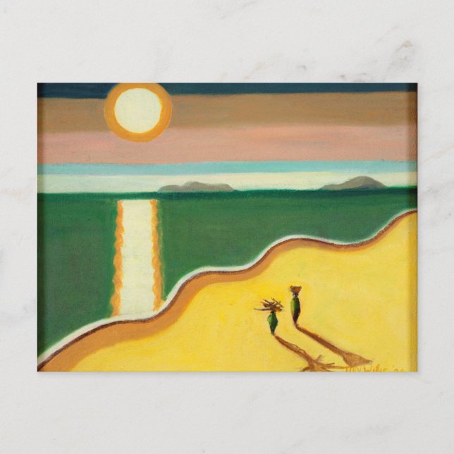 Evening Sun 2010 Postcard (Front)