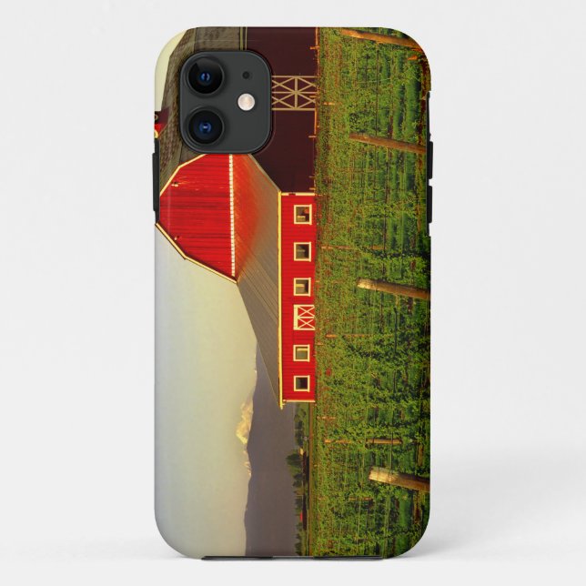 Evening sun on a barn in Washington's Skagit Case-Mate iPhone Case (Back)