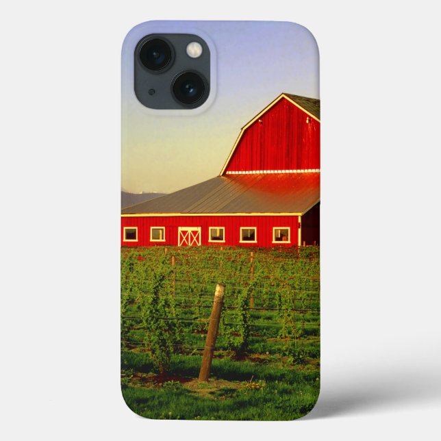 Evening sun on a barn in Washington's Skagit Case-Mate iPhone Case (Back)