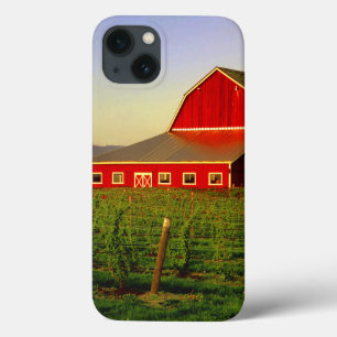 Evening sun on a barn in Washington's Skagit iPhone 13 Case