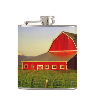 Evening sun on a barn in Washington's Skagit Hip Flask