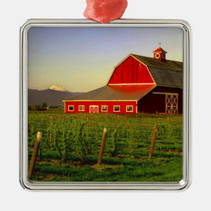 Evening sun on a barn in Washington's Skagit Metal Tree Decoration