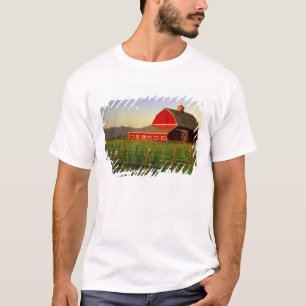 Evening sun on a barn in Washington's Skagit T-Shirt