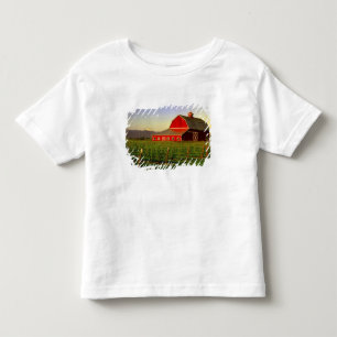 Evening sun on a barn in Washington's Skagit Toddler T-Shirt