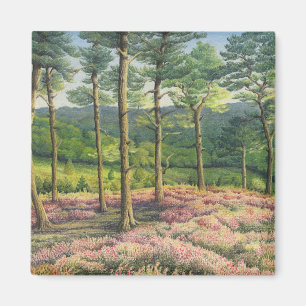 Evening Sun, Surrey Hills Pines in Pastel Magnet