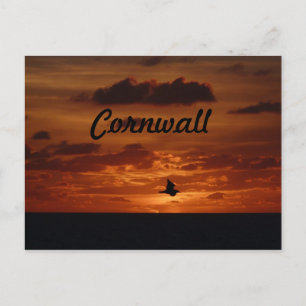 Evening Sunset Postcard