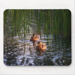 Evening Swim Mouse Pad