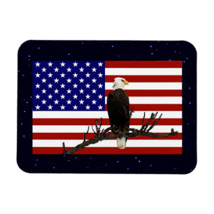 Ever Vigilant Bald Eagle Magnet