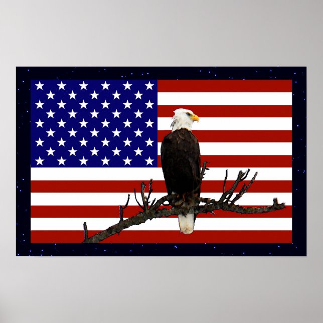 Ever Vigilant Bald Eagle Poster (Front)