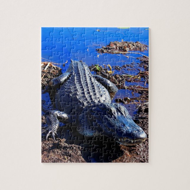 Everglades Alligator Jigsaw Puzzle (Vertical)