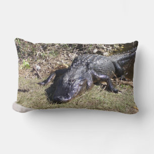 Everglades Alligator Resting in Warm Light Lumbar Cushion