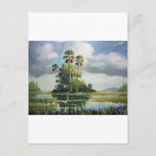 Everglades Art Postcard