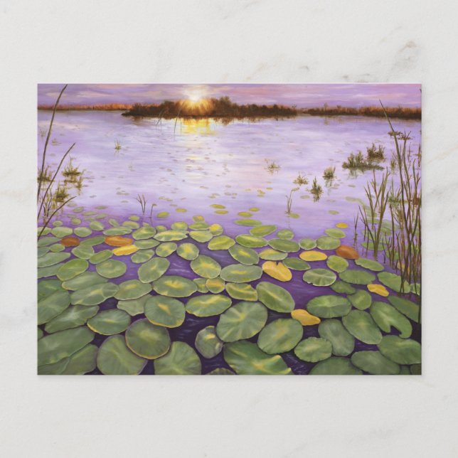 Everglades Evening Postcard (Front)