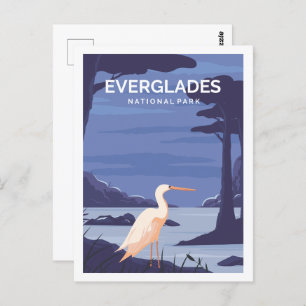 Everglades Florida USA Travel Place Illustration Postcard