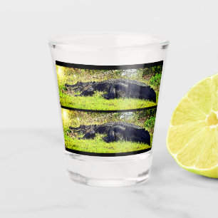 Everglades Gator Shot Glass