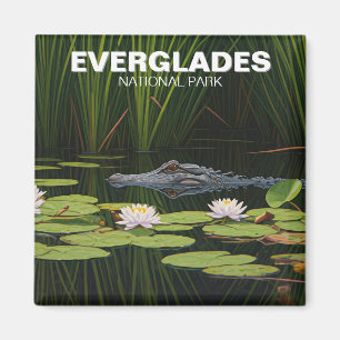 Everglades National Park Alligator in Water Magnet