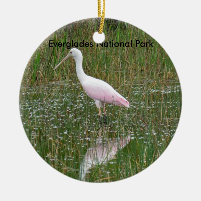 Everglades National Park Ceramic Ornament (Front)