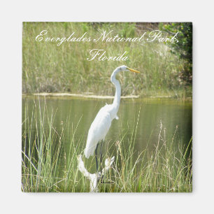 Everglades National Park, Florida Magnet