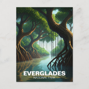 Everglades National Park Florida Mangrove Postcard