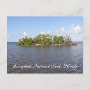Everglades National Park, Florida Postcard