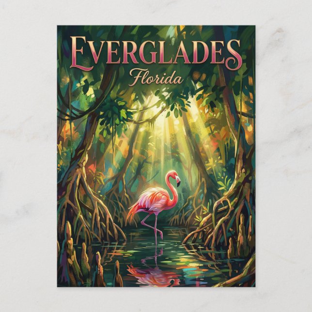 Everglades National Park Florida Postcard (Front)