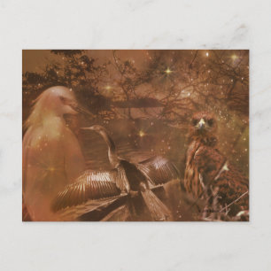 Everglades - National Park in Florida Postcard