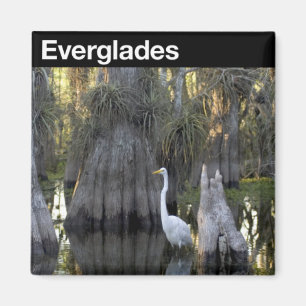 Everglades National Park Magnet