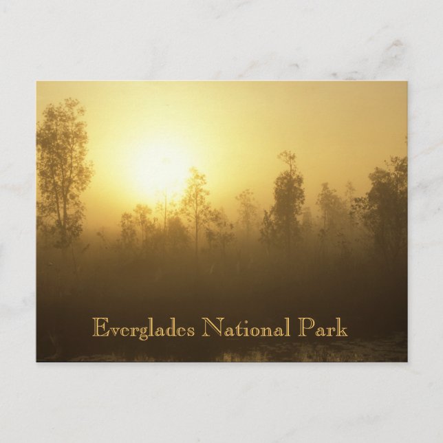 Everglades National Park Postcard (Front)